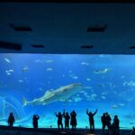 Thumbnail of post image 159